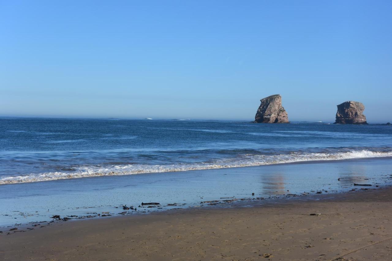 Bel Appartement Baie Plage - Wifi - Parking - Draps Et Serviettes Hendaye Ngoại thất bức ảnh
